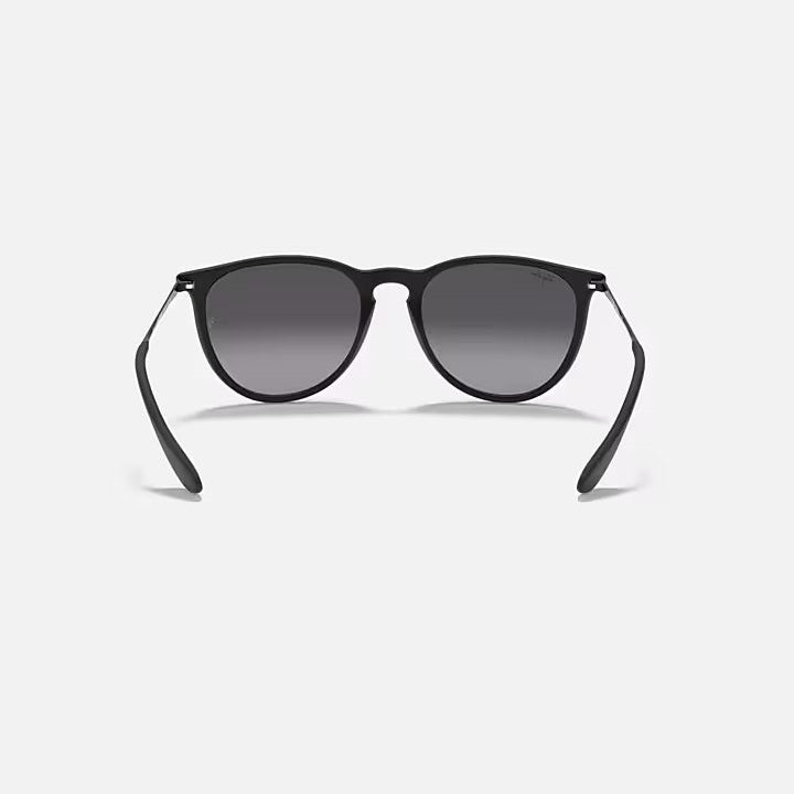 Ray Ban Erika - Rubber Black