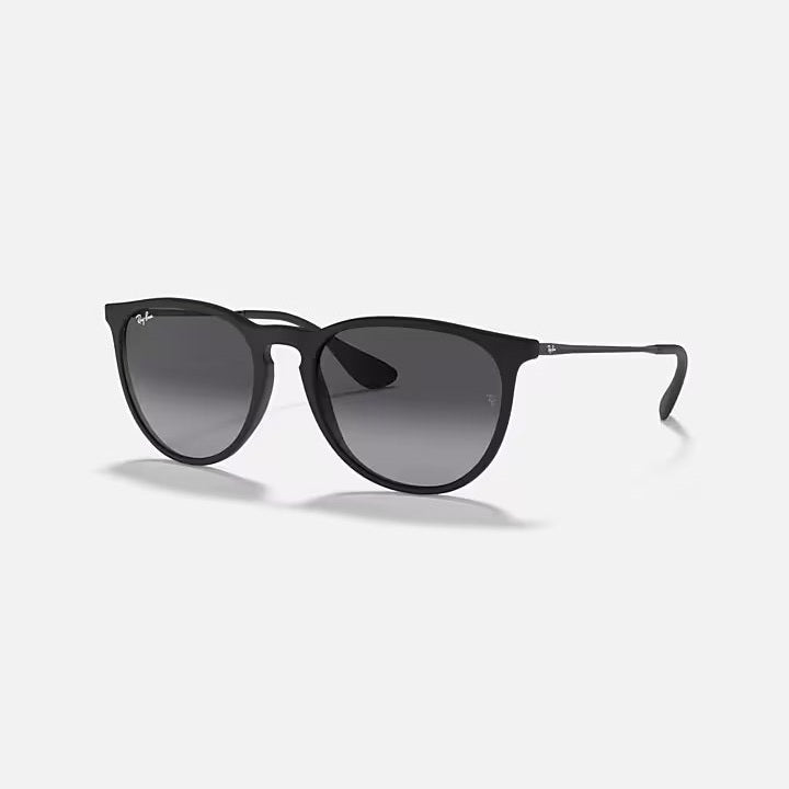 Ray Ban Erika - Rubber Black