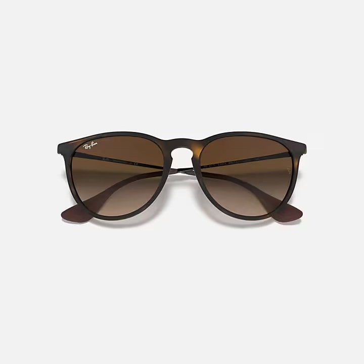 Ray Ban Erika - Rubber Havana