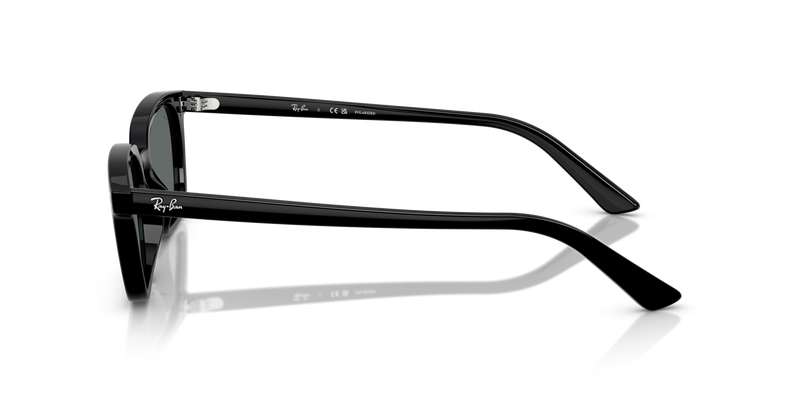 Ray Ban Zaya - Black Polarised