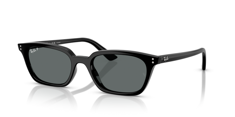 Ray Ban Zaya - Black Polarised