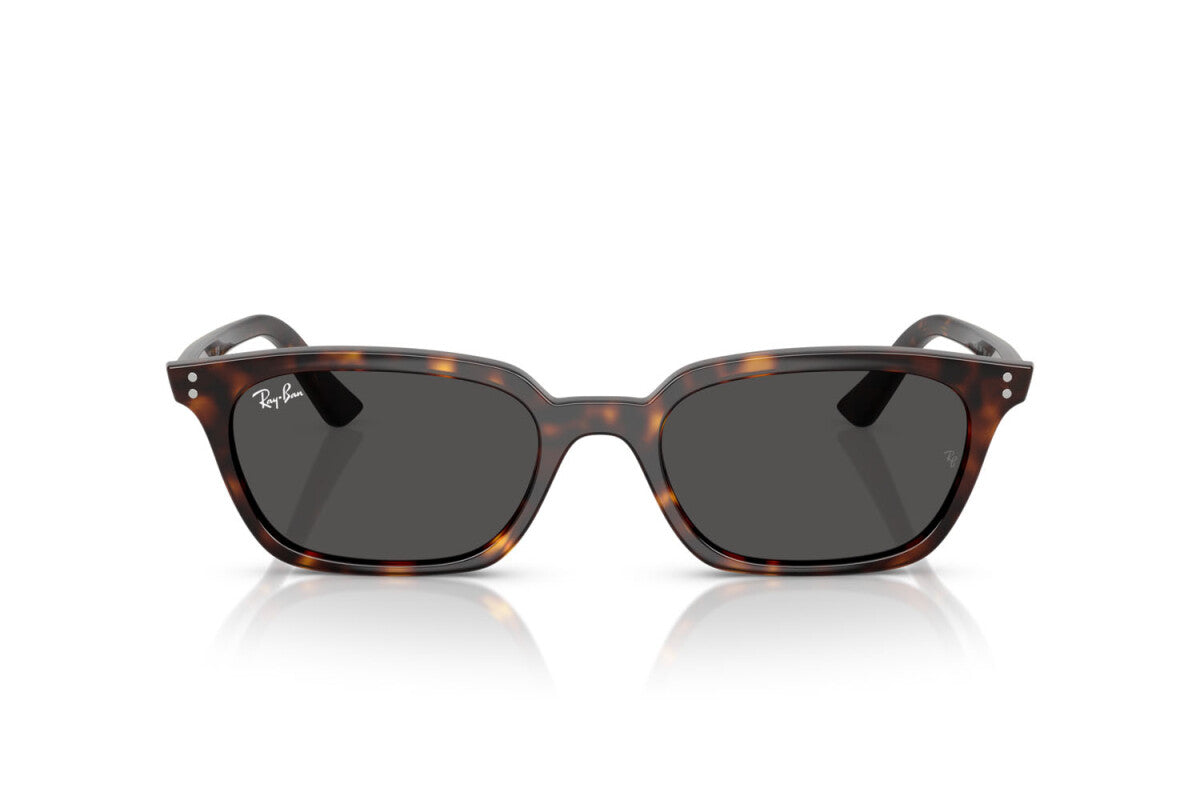 Ray Ban Zaya - Havana