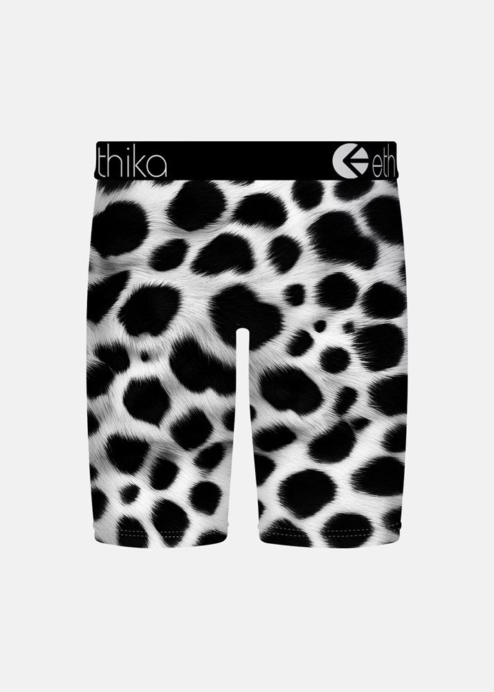 Ethika Boys Bomber Out West Staple