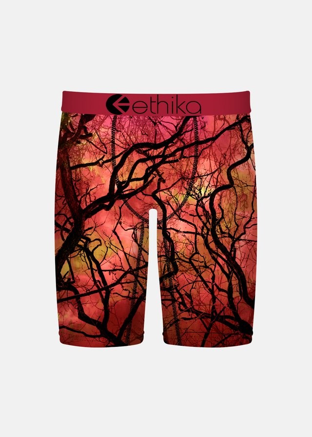 Ethika Boys Blare Which Staple