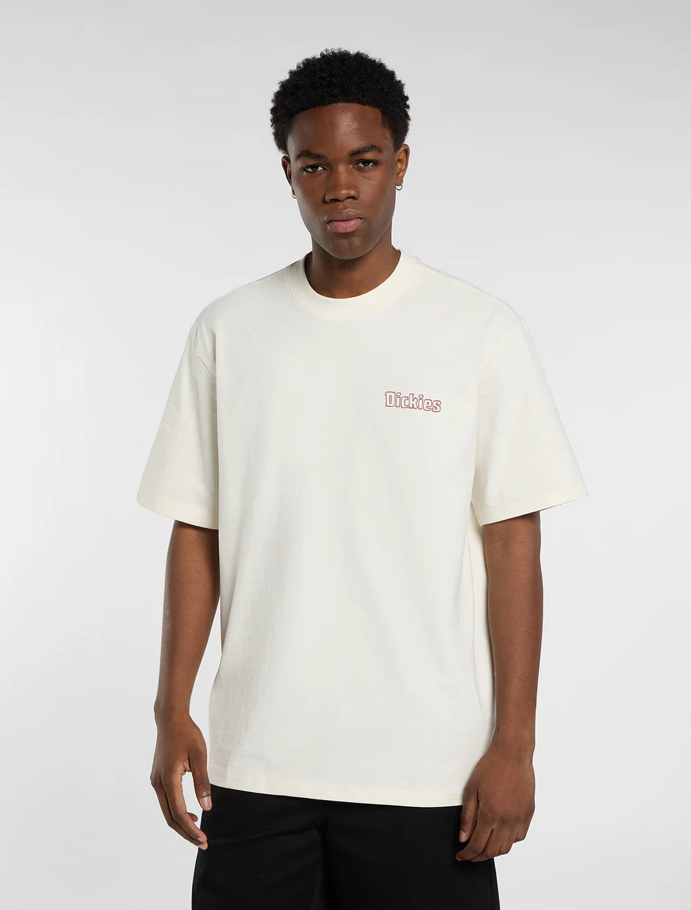 Dickies Fairlawn Men's Tee