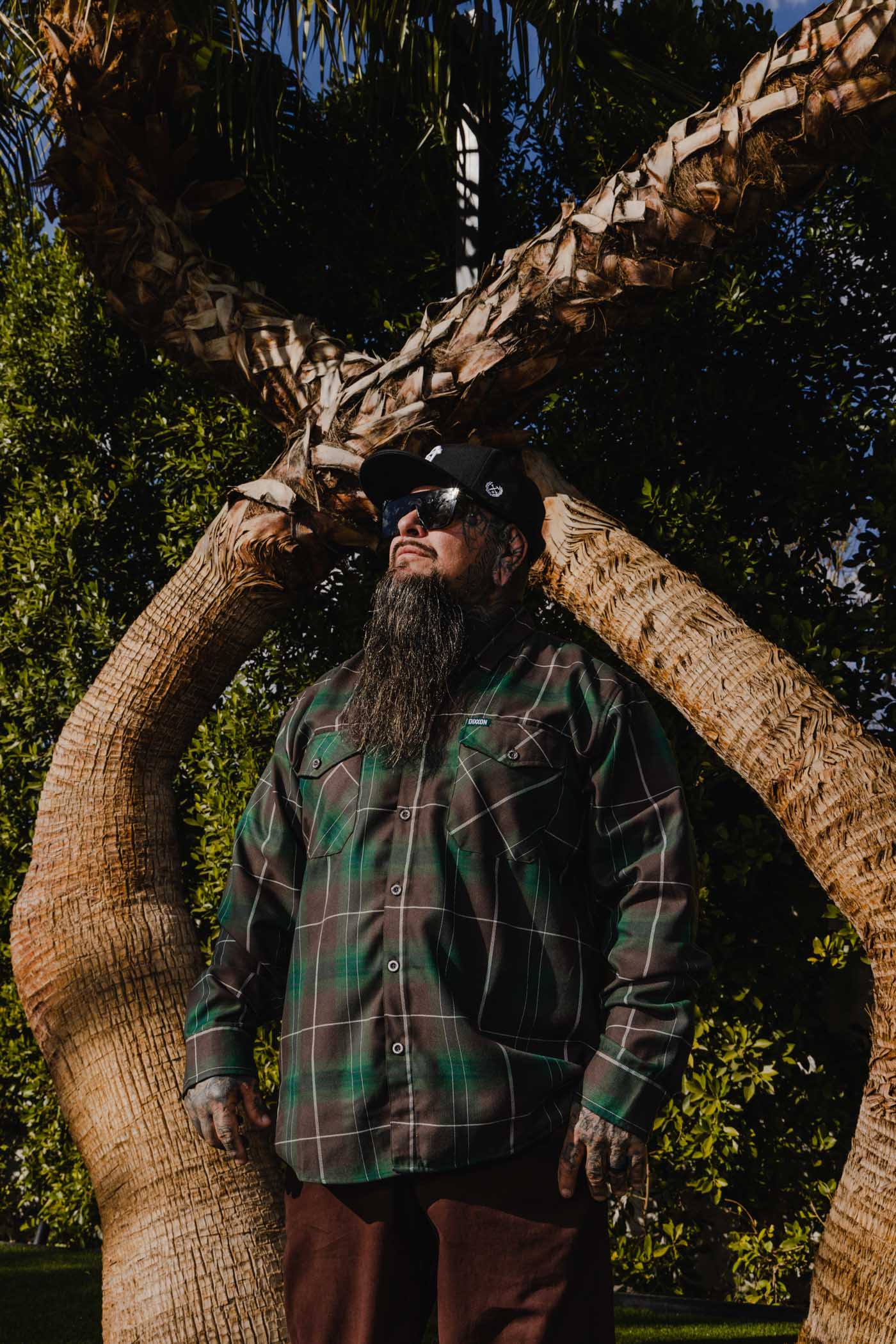 Dixxon Twin Palms Flannel