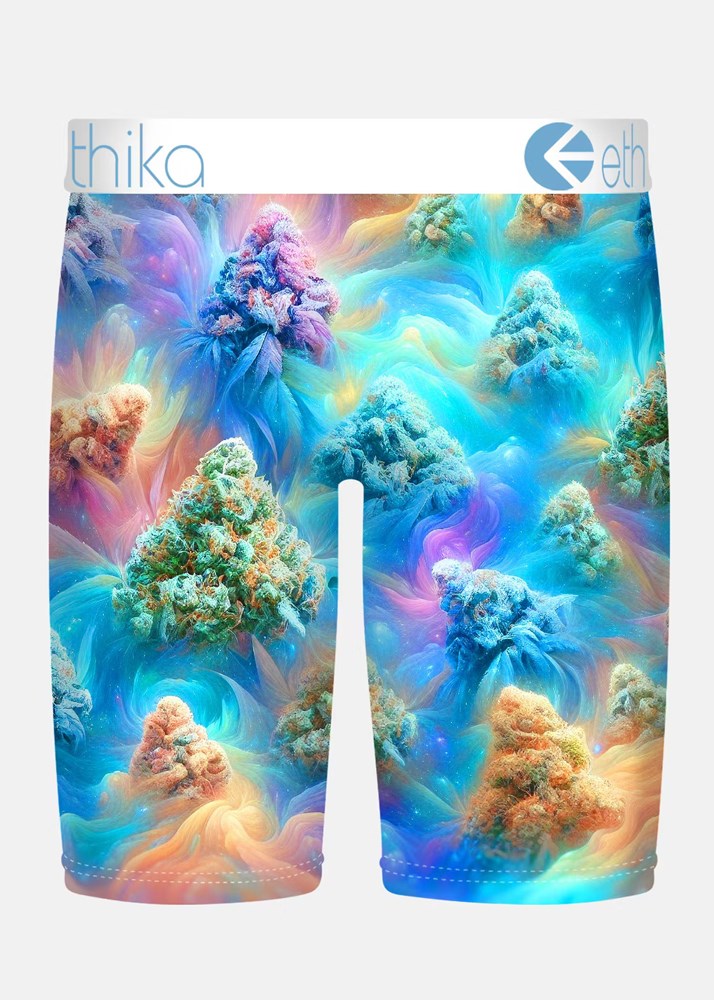 Ethika Mens Sherbert Smoke Staple