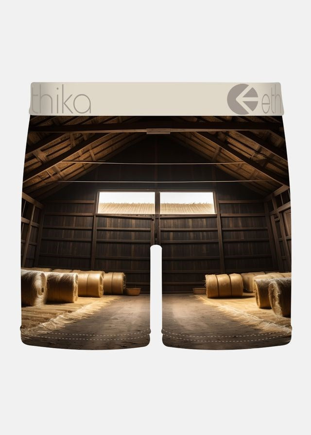 Ethika Mens Bright Barn Mid