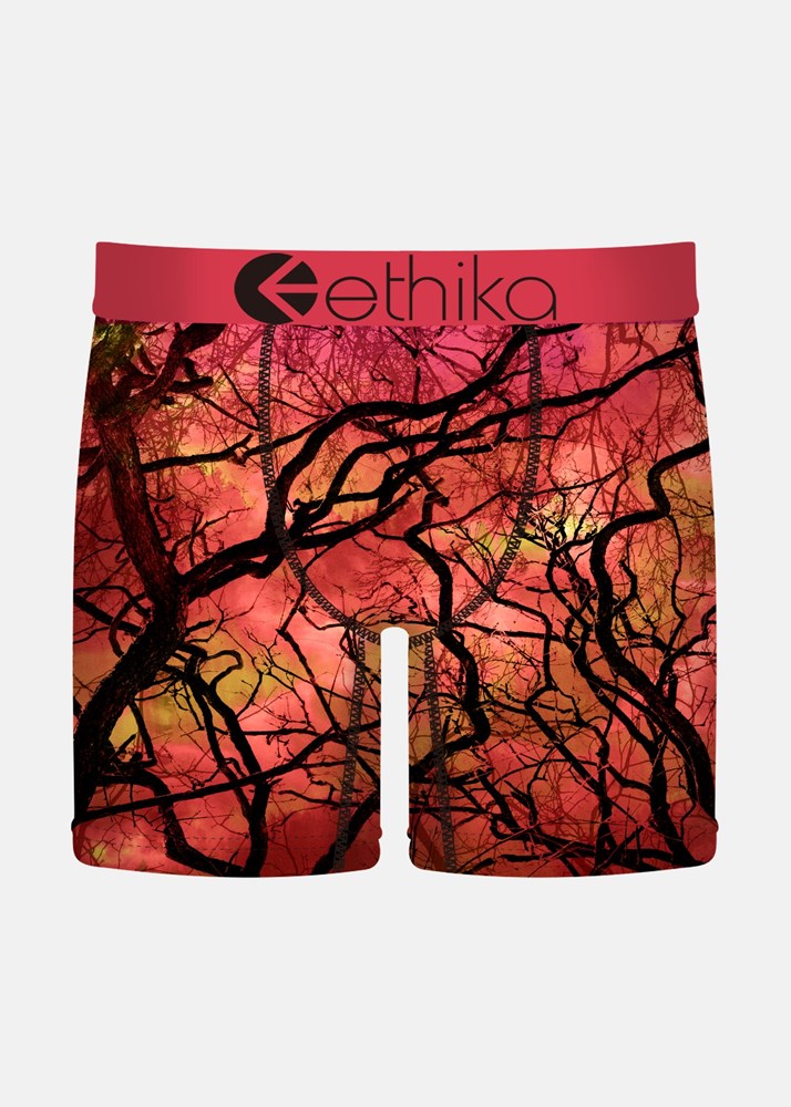 Ethika Mens Blare Which Mid