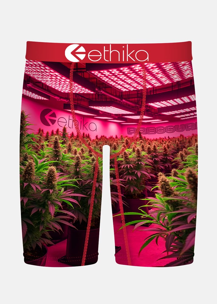 Ethika Mens Big Motion Staple
