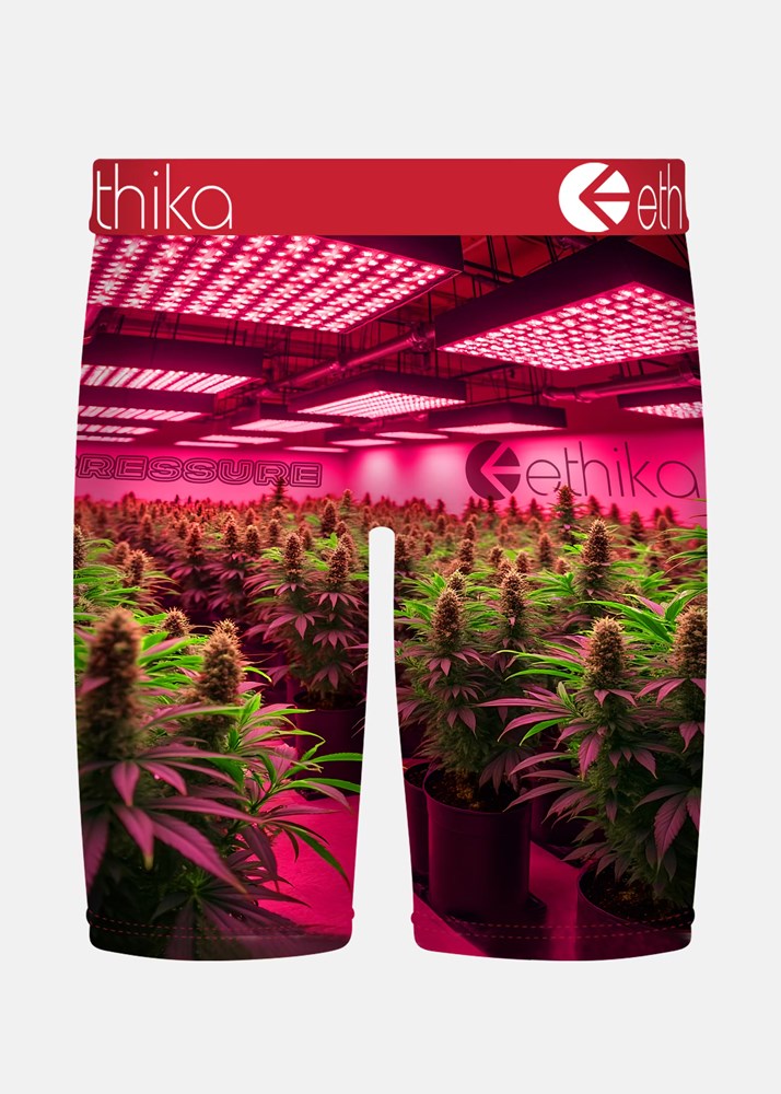 Ethika Mens Big Motion Staple