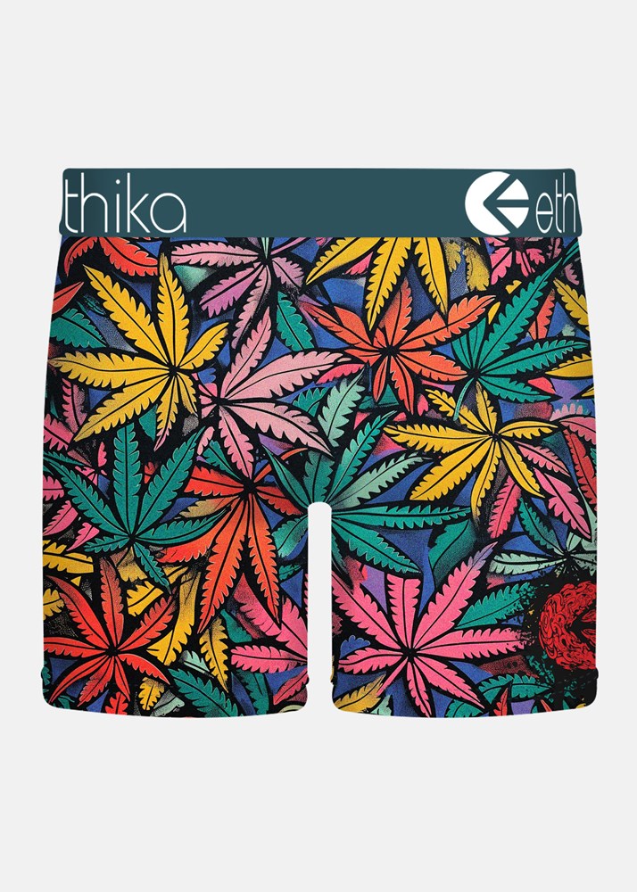 Ethika Mens Bomber Weedland Mid