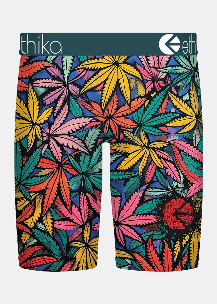 Ethika Mens Bomber Weedland Staple