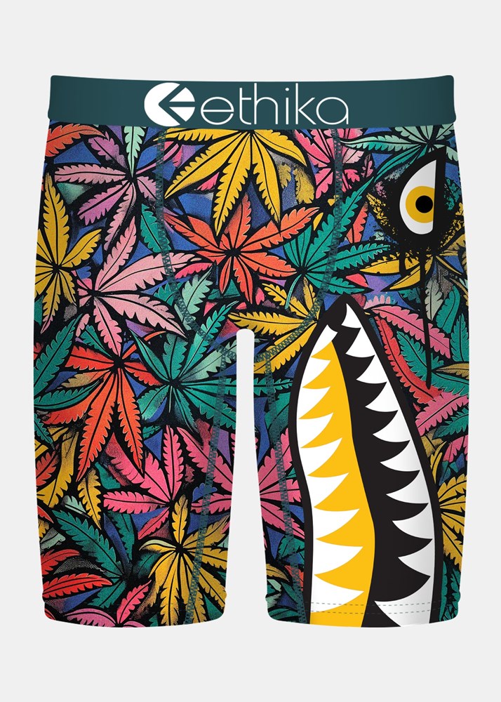 Ethika Mens Bomber Weedland Staple