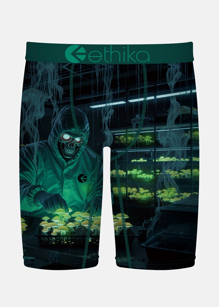 Ethika Mens Shroom Alchemist Staple