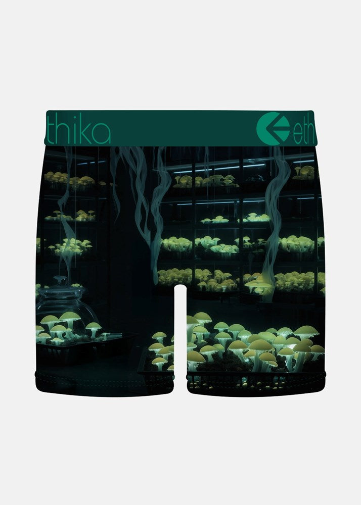 Ethika Mens Shroom Alchemist Mid