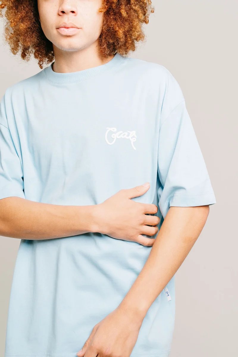 Crate Scripted Box Fit Tee - Light Blue