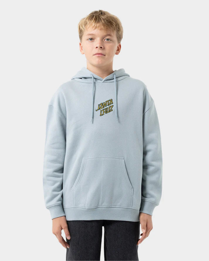 Santa Cruz Brain Dot Centre Boys Hoodie