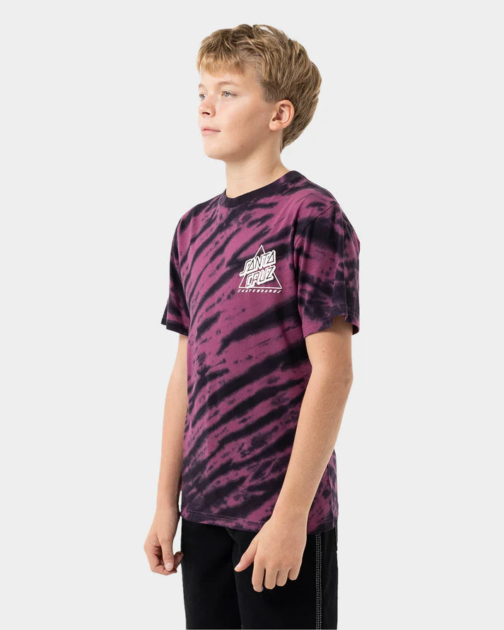 Santa Cruz Not A Dot Hollow Boys Tee