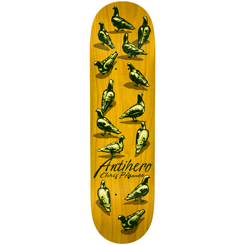 Antihero Chris Pfanner Dawn Of The Pigeon 8.25" Deck