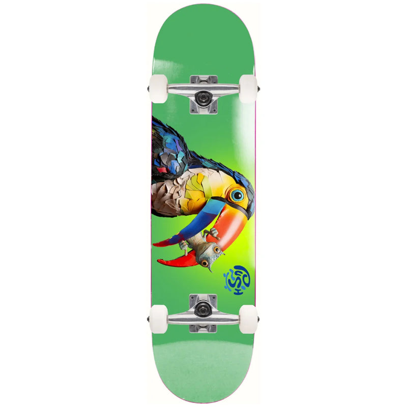 Push Toucan Fade FP 8.25" Complete