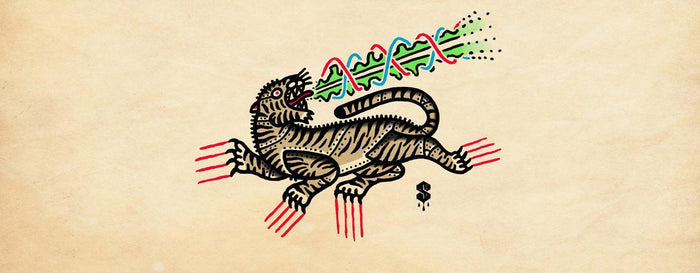 Sweat for your art – Pierre Hadlow on his illos & influences - Empire Skate NZ