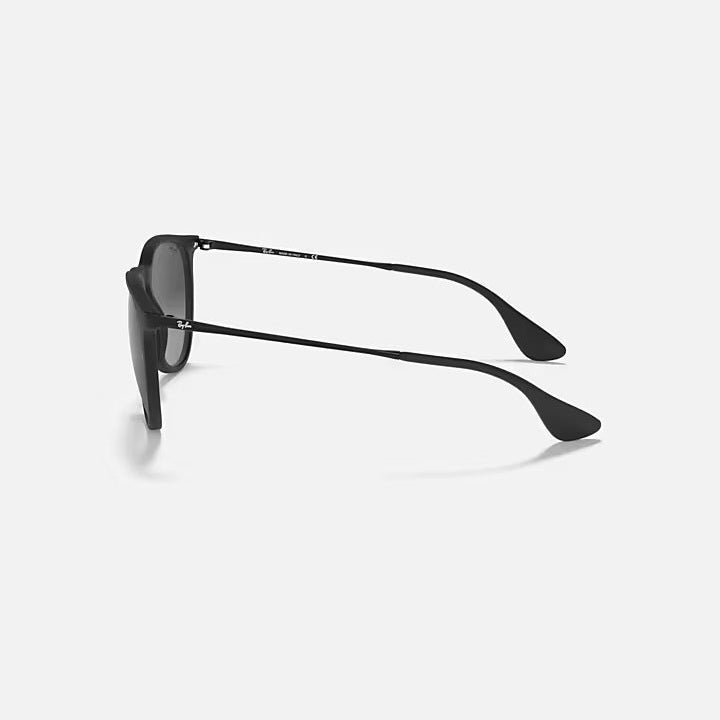 Ray Ban Erika - Rubber Black