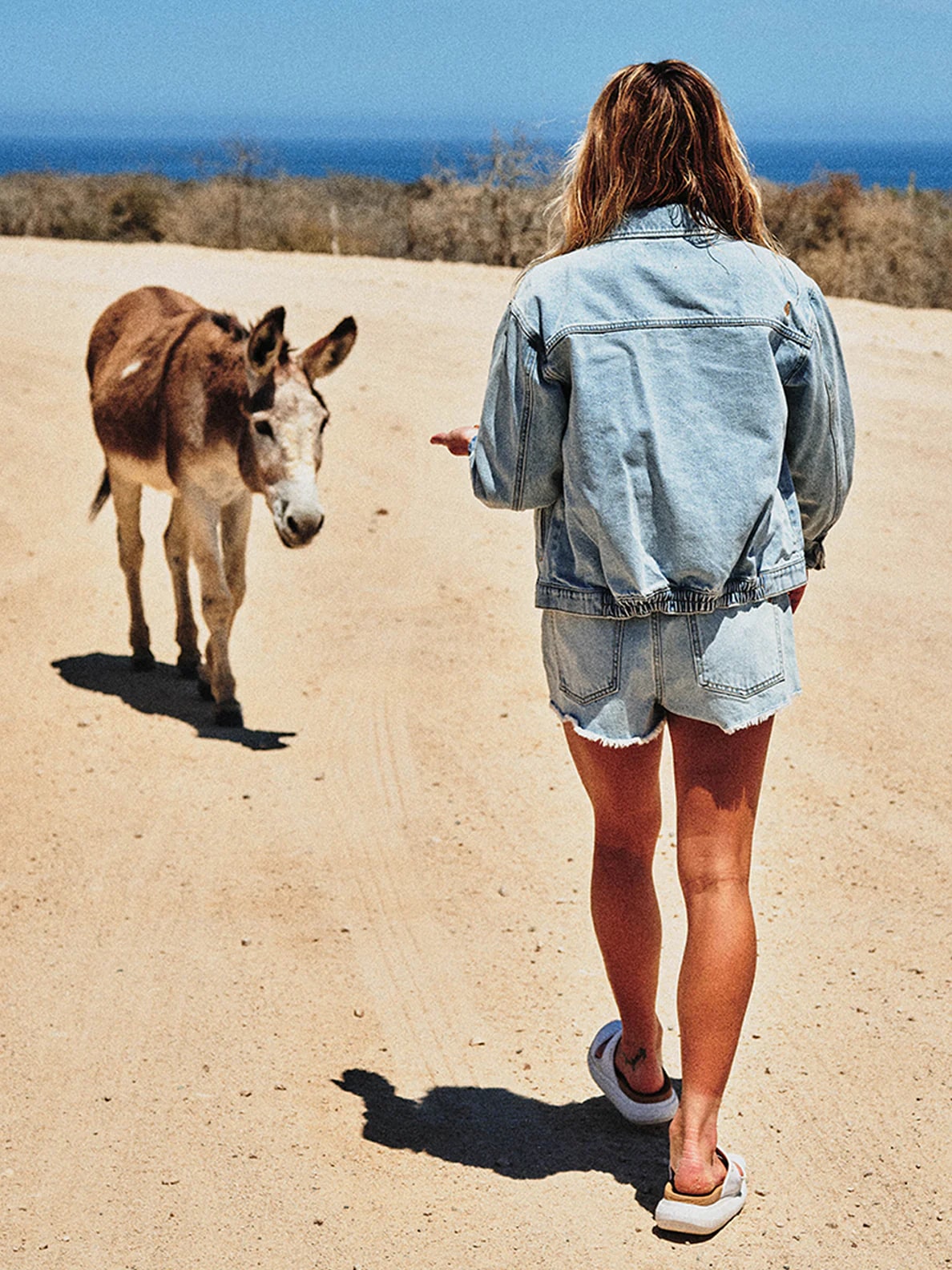 Volcom Coco Ho Denim Jacket