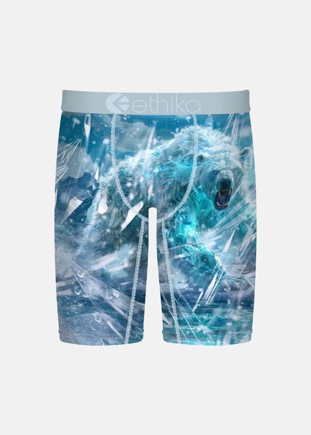 Ethika Boys Pola Roar Staple