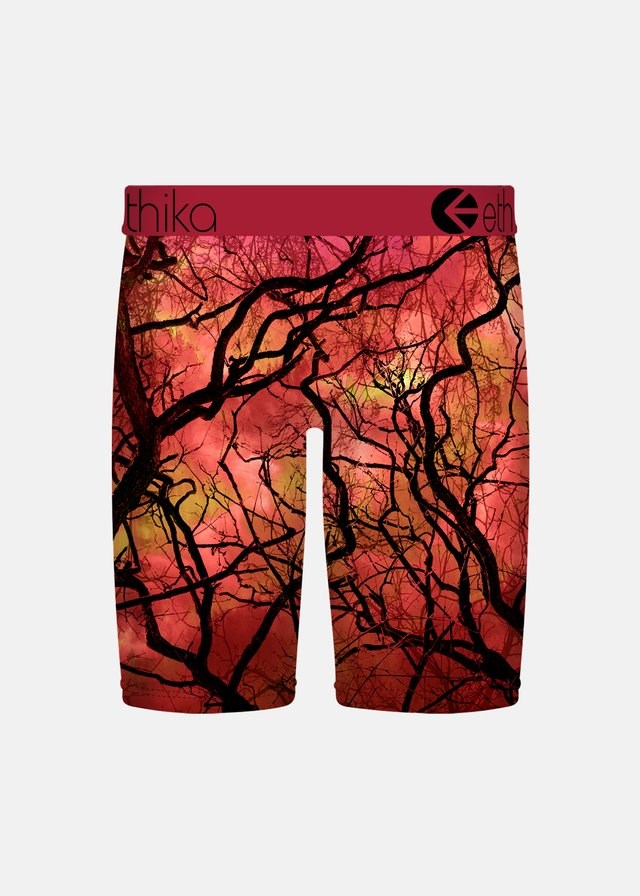 Ethika Boys Blare Which Staple