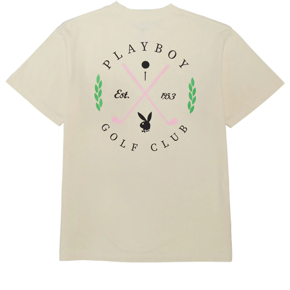 Color Bars Swing Tee