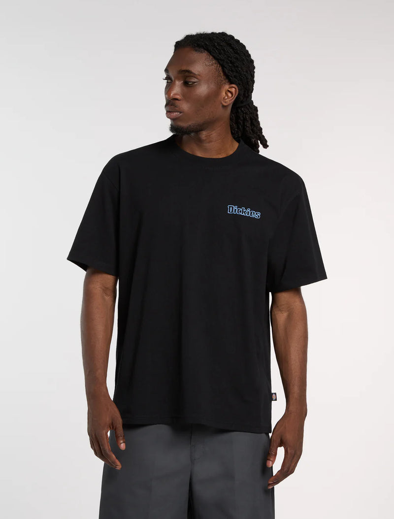 Dickies Fairlawn Men's Tee