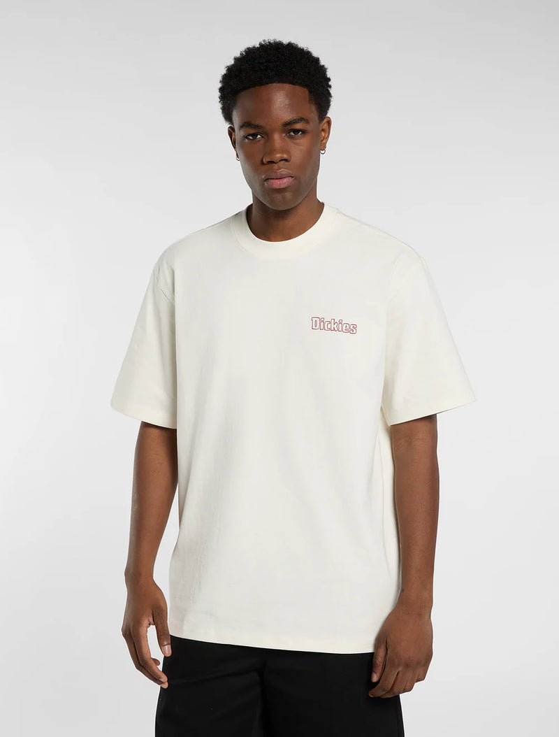 Dickies Fairlawn Men's Tee
