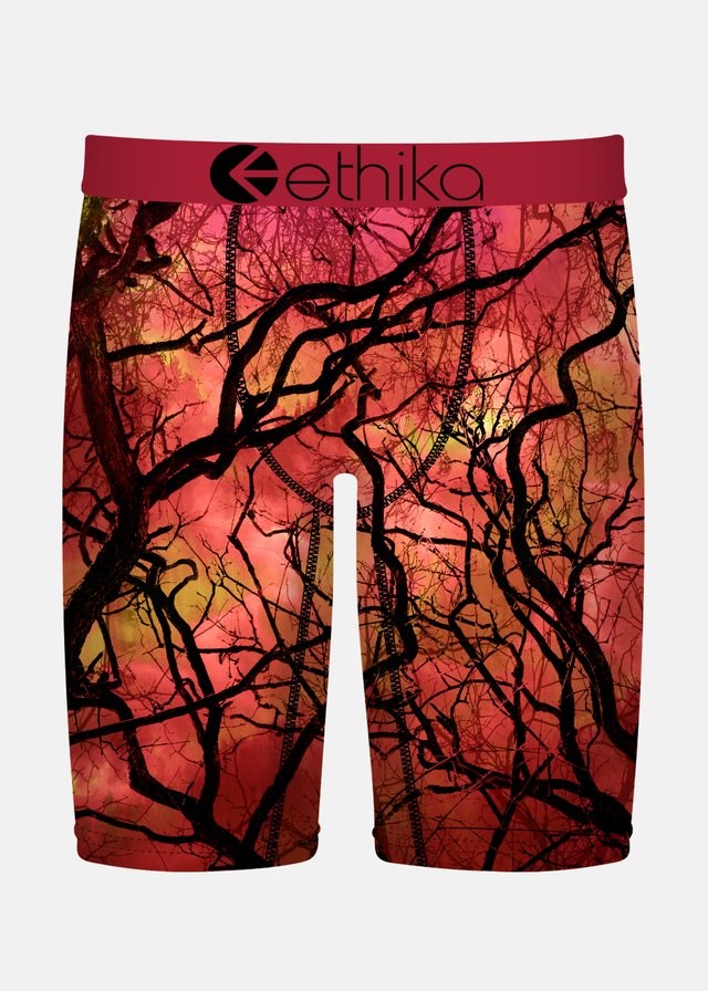 Ethika Mens Blare Which Staple