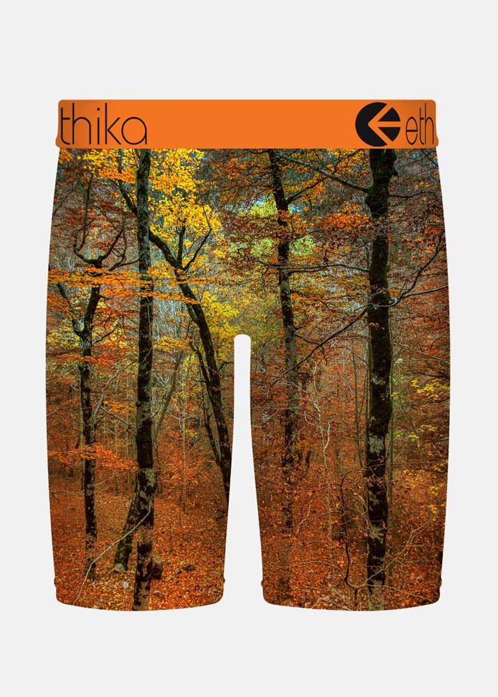 Ethika Mens Fall Back Staple