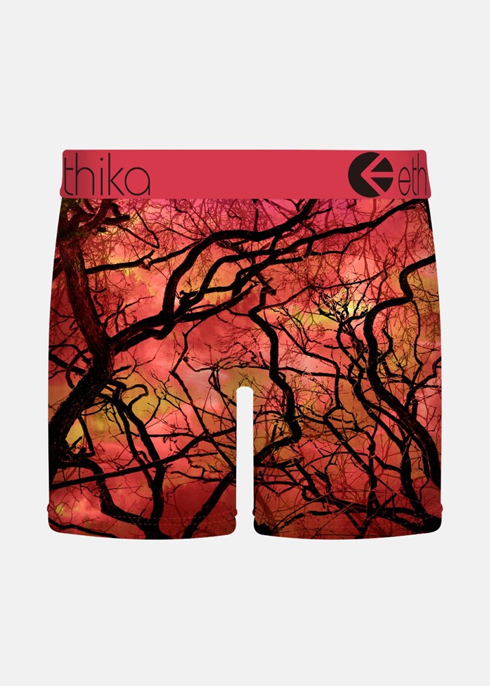 Ethika Mens Blare Which Mid