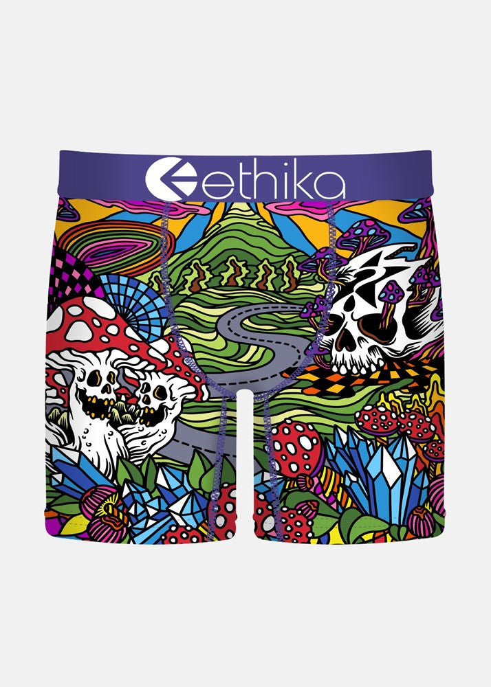Ethika Mens Shroom Roads Mid