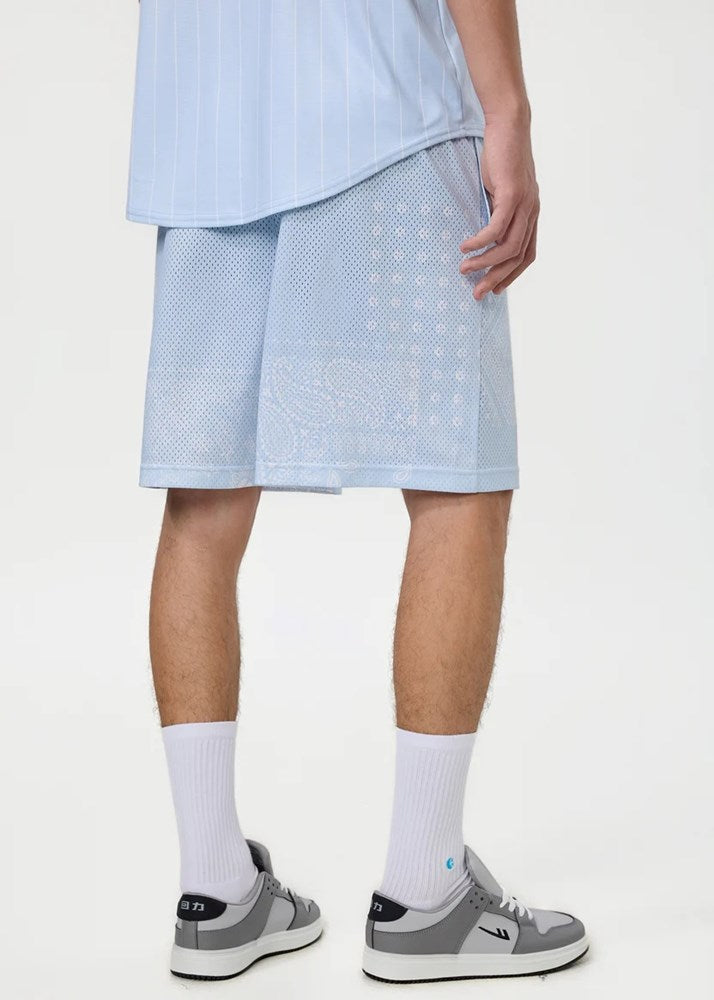 Ethika Mens Ice Paisley 7 Inch Basketball Short