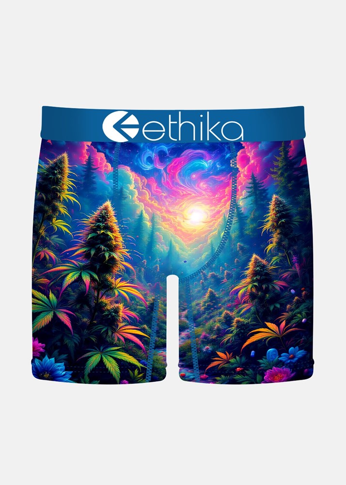 Mens Indica Dreams Mid