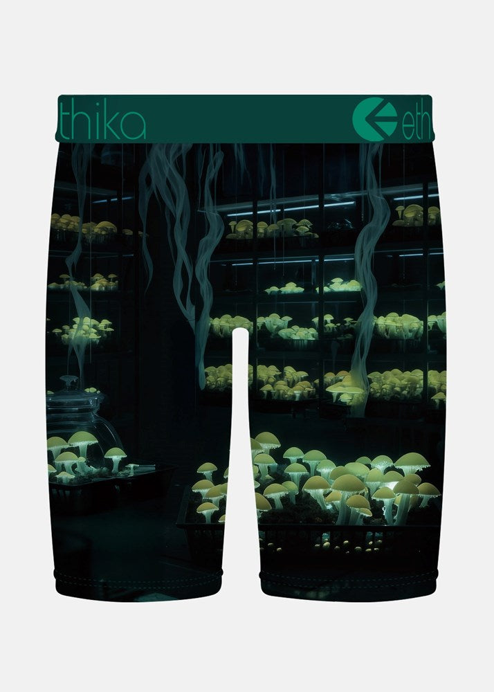 Ethika Mens Shroom Alchemist Staple