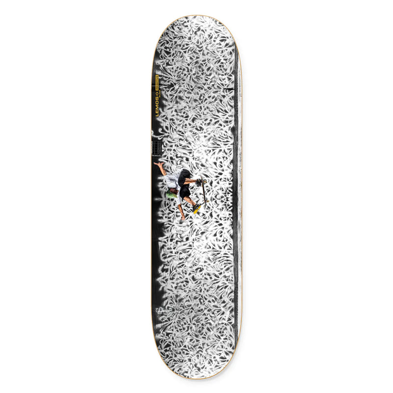 Primitive Lemos Silks Wall 8.25" Deck