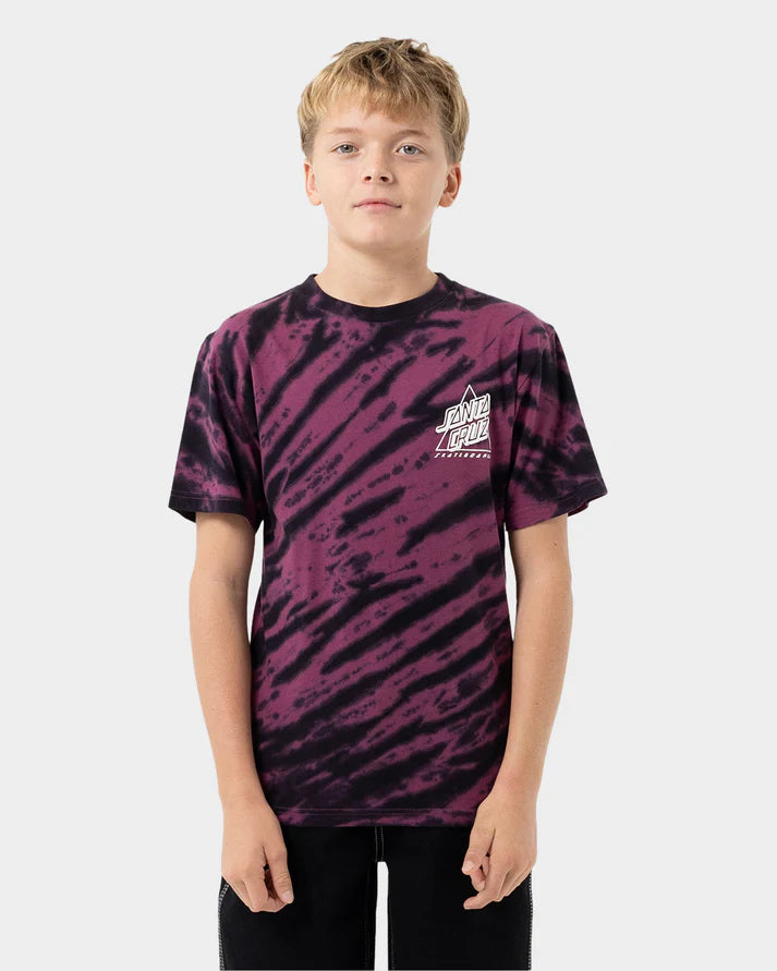 Santa Cruz Not A Dot Hollow Boys Tee