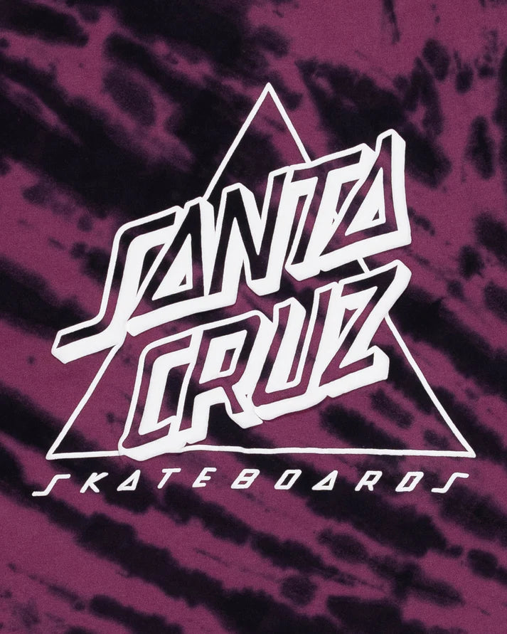 Santa Cruz Not A Dot Hollow Boys Tee