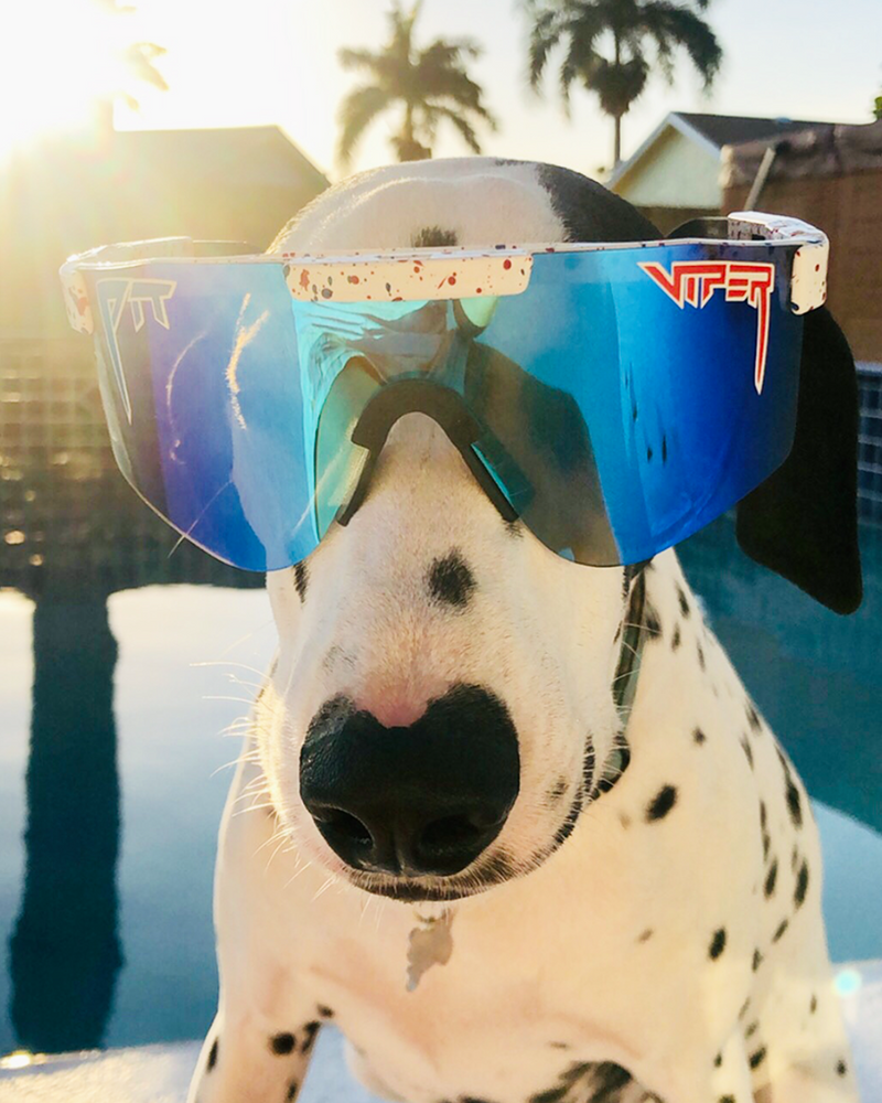 Pit Viper The Double Wides Polarized - Absolute Freedom